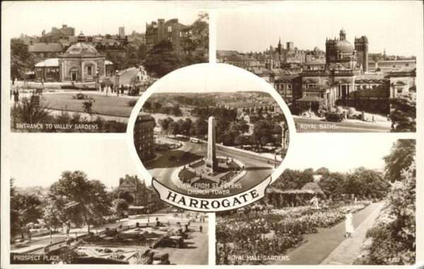 Harrogate UK Valley Gardens
Royal Hall Gardens
Roy
