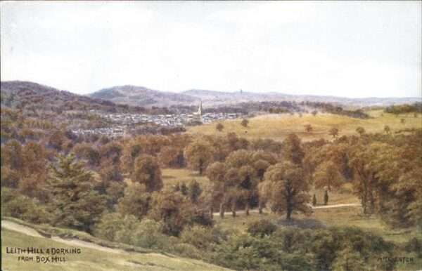 Leith Hill Dorking