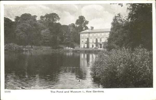London Kew Gardens Pond Museum