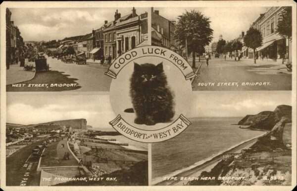Bridport West Dorset Katze Beach Promenade