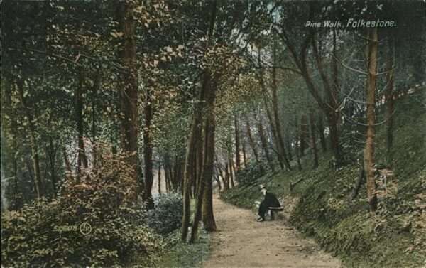 Folkestone Pine Walk