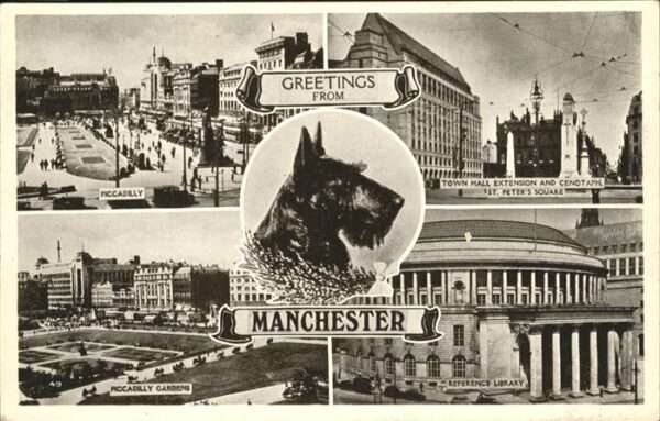 Manchester Piccadilly Gardens Town Hall St Peters