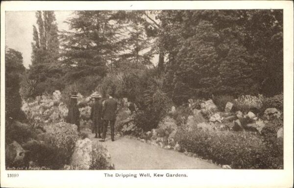 Kew Gardens Dripping Well