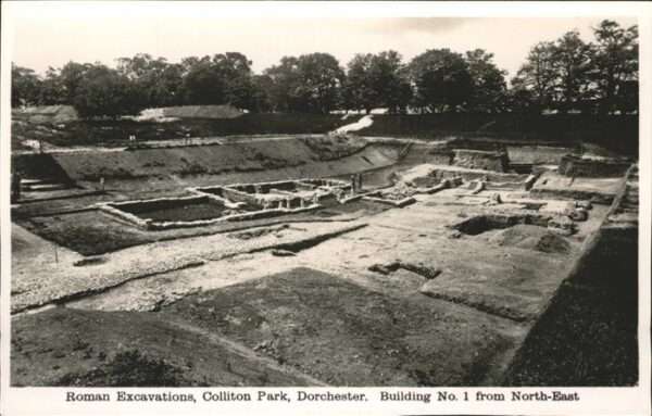 Dorchester West Dorset Roman Excavation Colliton Park