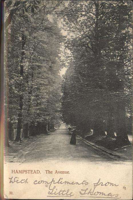 Hampstead UK The Avenue