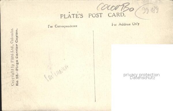 Colombo Ceylon Sri Lanka Pingo Carrier – Bild 2