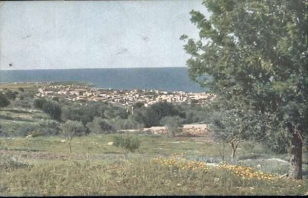 Haifa Caifa
