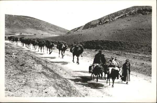 Jericho Esel Kamel