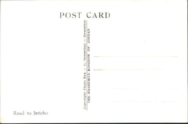 Jericho Esel Kamel – Bild 2