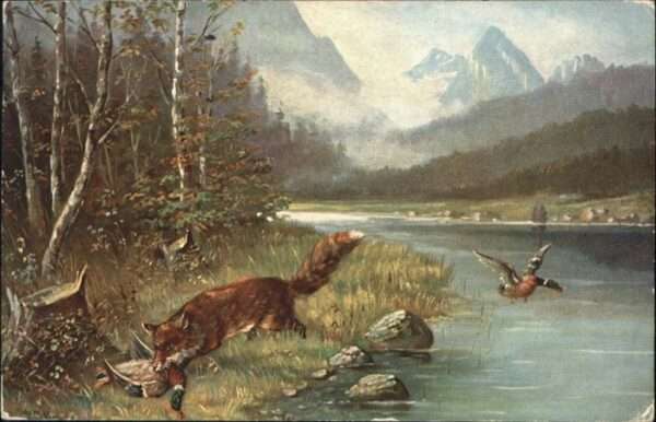 Fuchs Tiere Enten