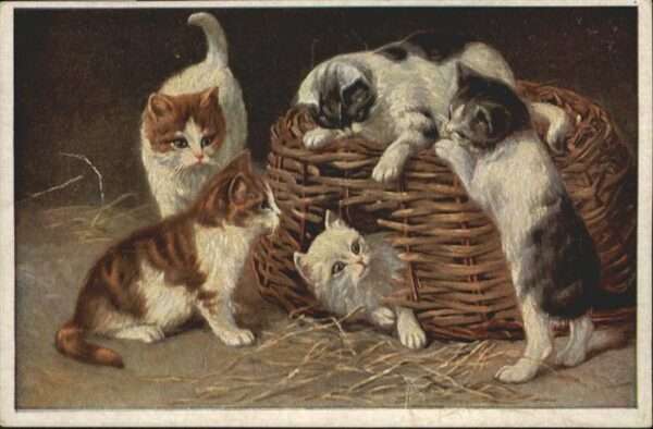 Katzen
