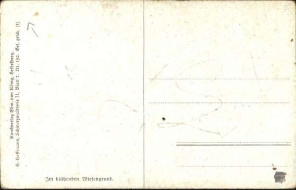 Hoffmann Heinrich Wiesengrund Schwarzwaldhaus – Bild 2