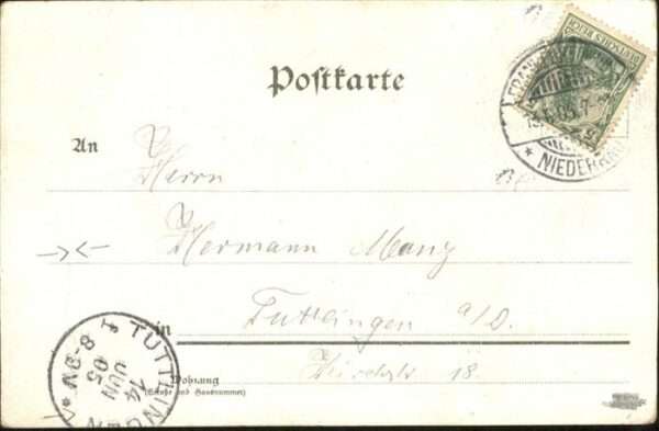 Trompeter Behüt dich Gott Pferd – Bild 2