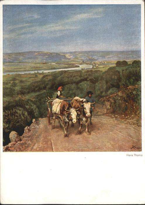 Thoma Hans Kühe
