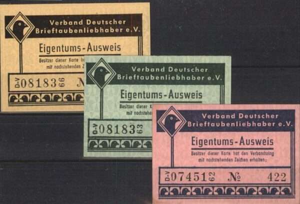 Tauben Brieftaube