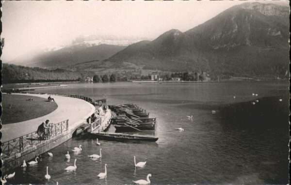 Annecy Haute-Savoie Au bord du Lac Les Cygnes