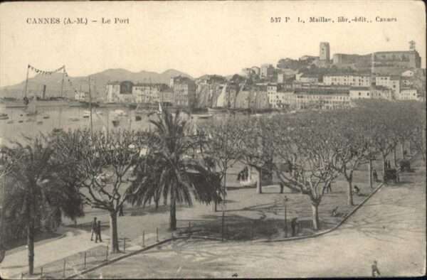 Cannes Alpes-Maritimes Le Port
