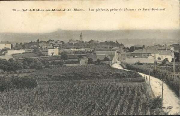 Saint-Didier-au-Mont-d Or Vue generale