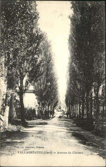 Vallabregues Avenue du Chateau