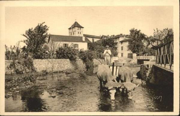 Espelette Attelage basque Basses-Pyrenees