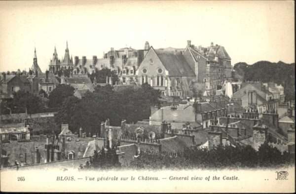 Blois 41 Le Chateau