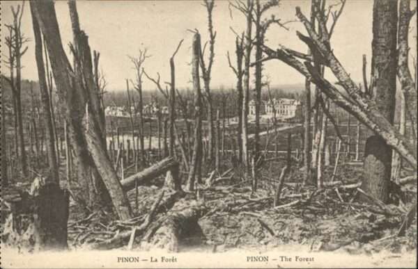 Pinon La Foret