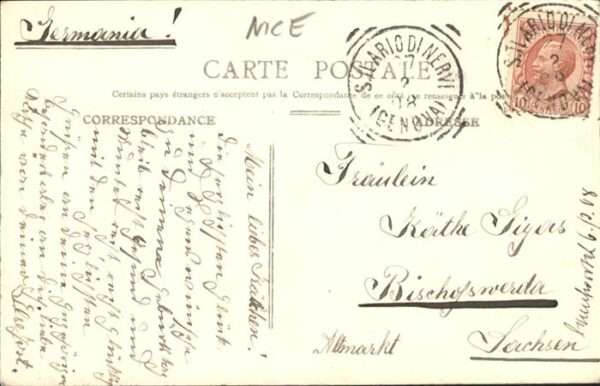 Nice Alpes Maritimes Palmen – Bild 2