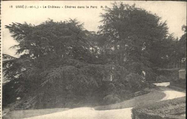 Usse Rigny Chateau