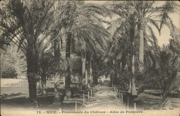 Nice Alpes Maritimes Promenade Chateau Allee Palmiers