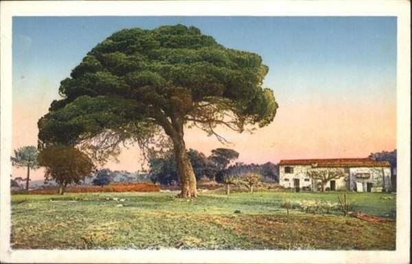 Saint-Raphael Var
