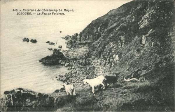 Jobourg