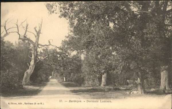 Barbizon Dormir Lantara