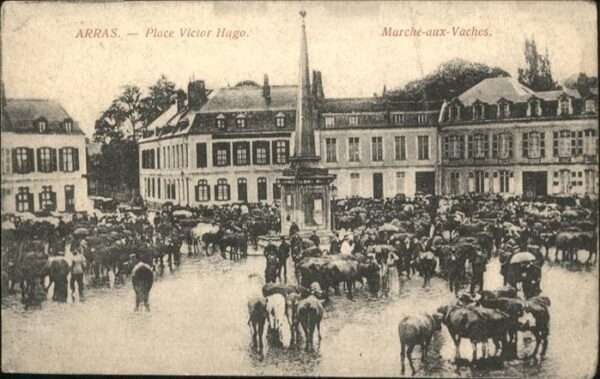 Arras Pas-de-Calais Place Victor Hugo Marche aux Vaches