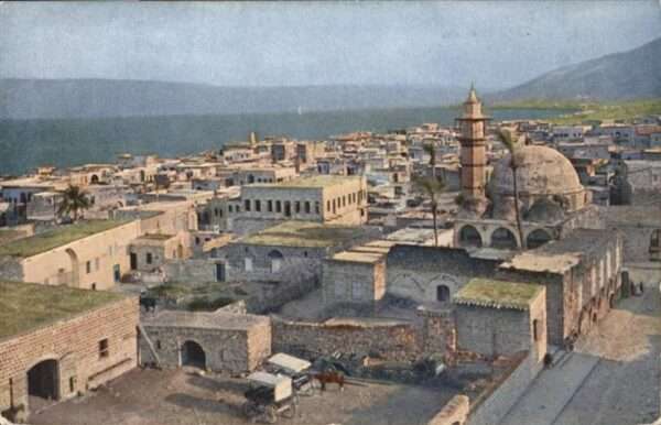 Tiberias Pferd