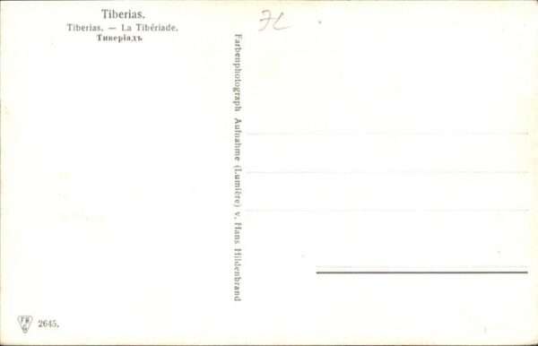 Tiberias Pferd – Bild 2