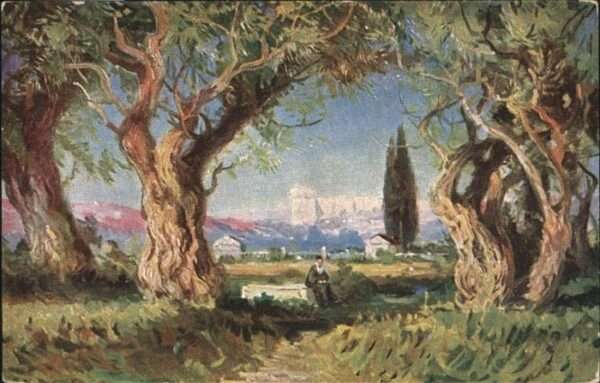 Gethsemane Garden