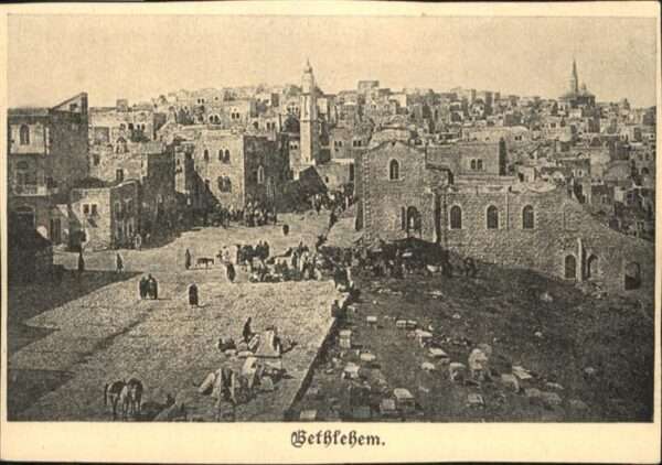 Gethlehem Pferd