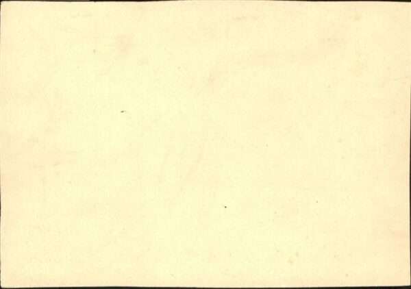 Gethlehem Pferd – Bild 2