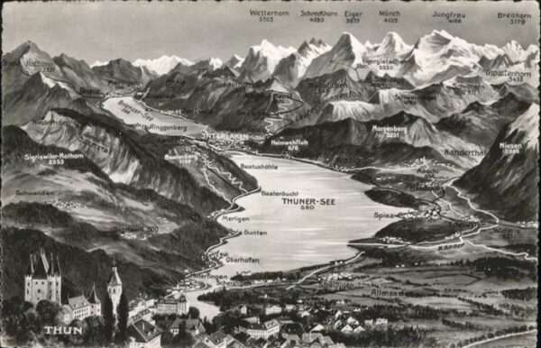 Thun Thunersee Panorama