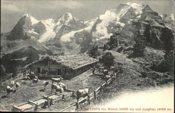 Moench BE Eiger Jungfrau
