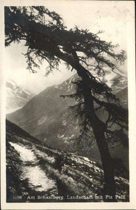 Piz Palue Schaafberg