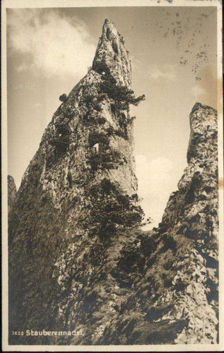 Appenzell IR Stauberennadel [Stempelabschlag]