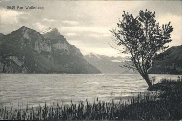 Wallensee