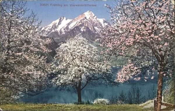 Vierwaldstaettersee SZ Frühling