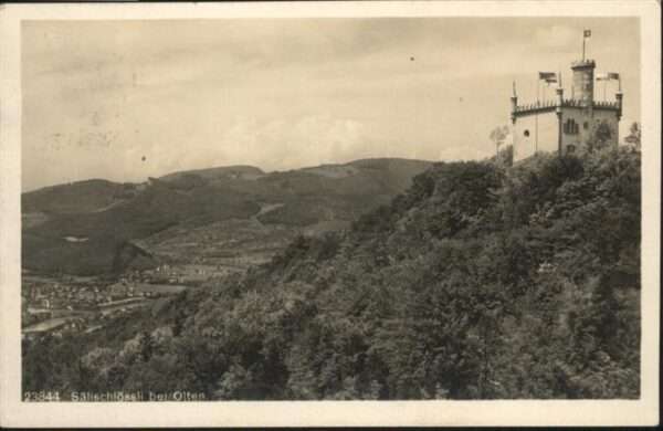 Olten Sälischlössli