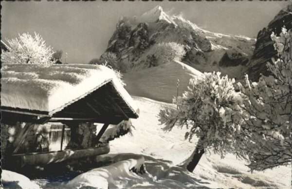 Grindelwald Wetterhorn