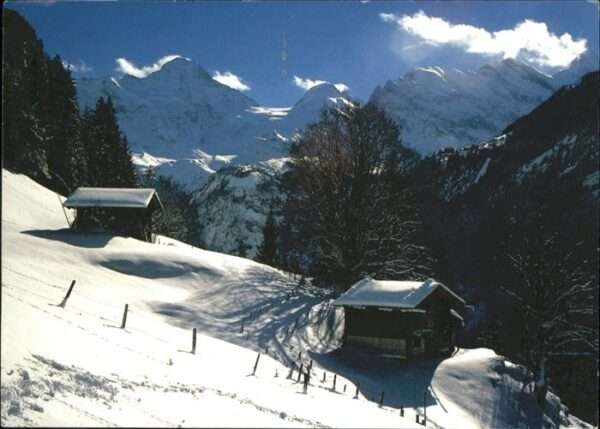 Wengen BE Breithorn Tschingelhorn