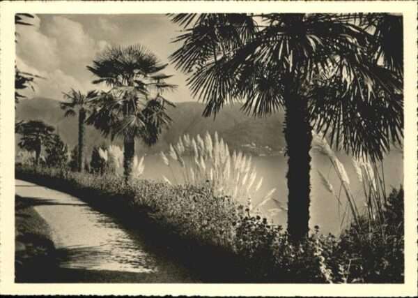 Brissago TI