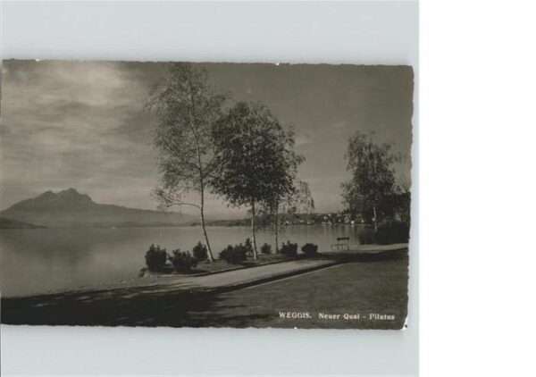 Weggis Vierwaldstaettersee Quai Pilatus