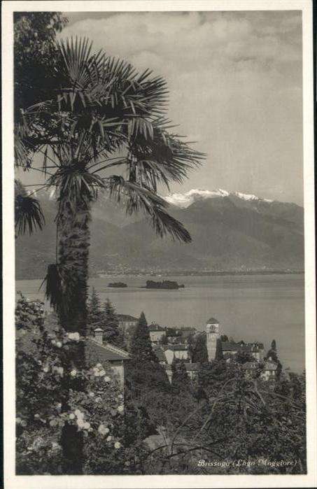 Brissago TI